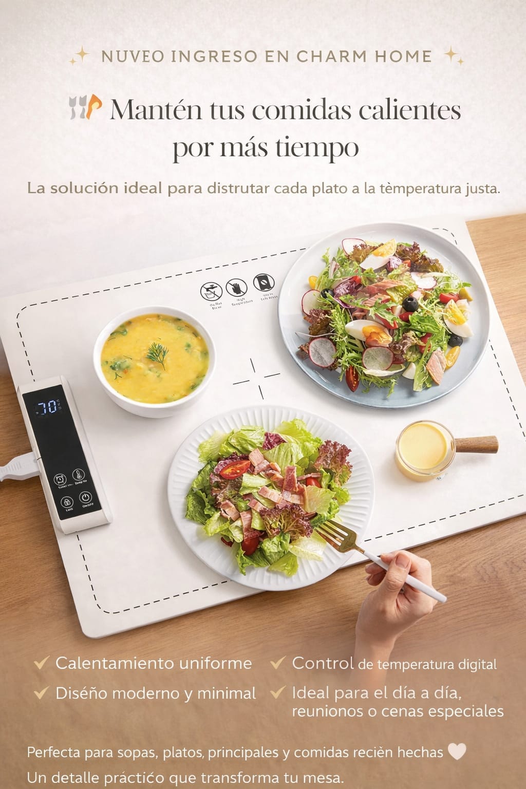 PLANCHA CALENTADOR DE ALIMENTOS 260W 60CM X 38CM
